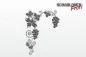 Preview: Wandschablone-hängende-Weintrauben-W2167_by-SchablonenProfi Preview: Wandschablone-hängende-Weintrauben-W2167_by-SchablonenProfi