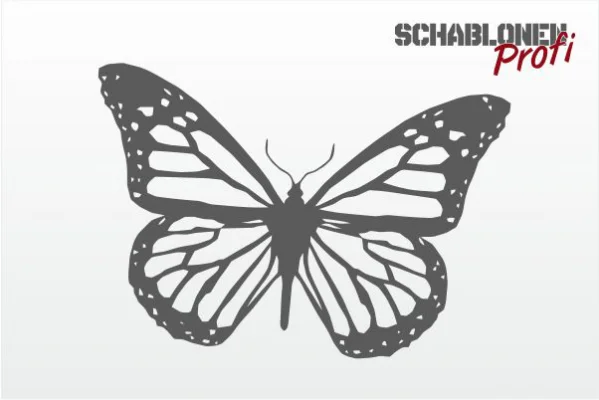 Wandschablone-Big-Butterfly-W0064.2-by-SchablonenProfi