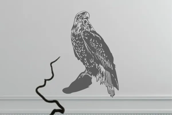 Greifvogel Wandtattoo W0171 by SchablonenProfi Greifvogel Wandtattoo W0171 by SchablonenProfi